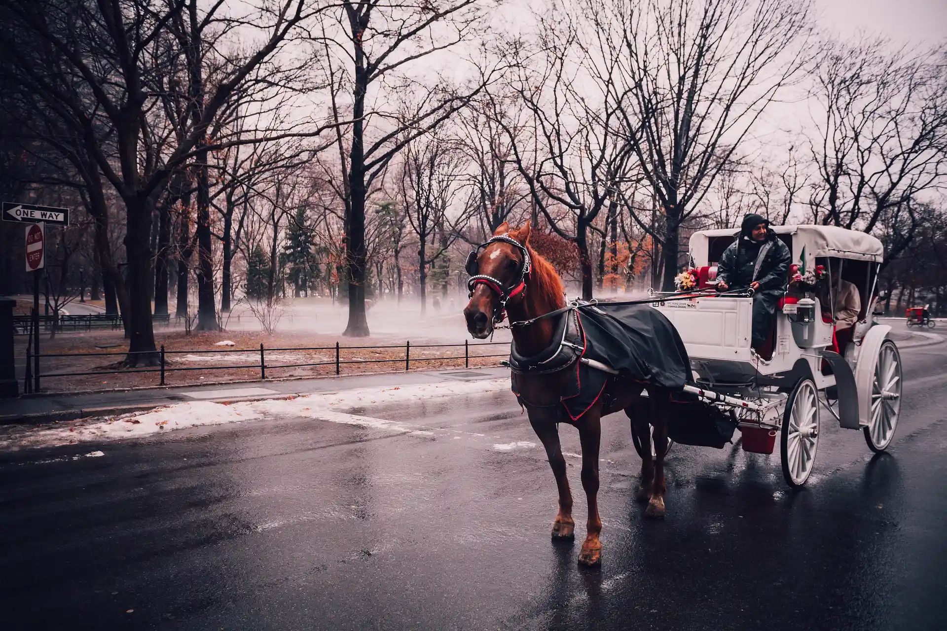 Pictures of NYC: A Visual Journey Through the City That Never Sleeps