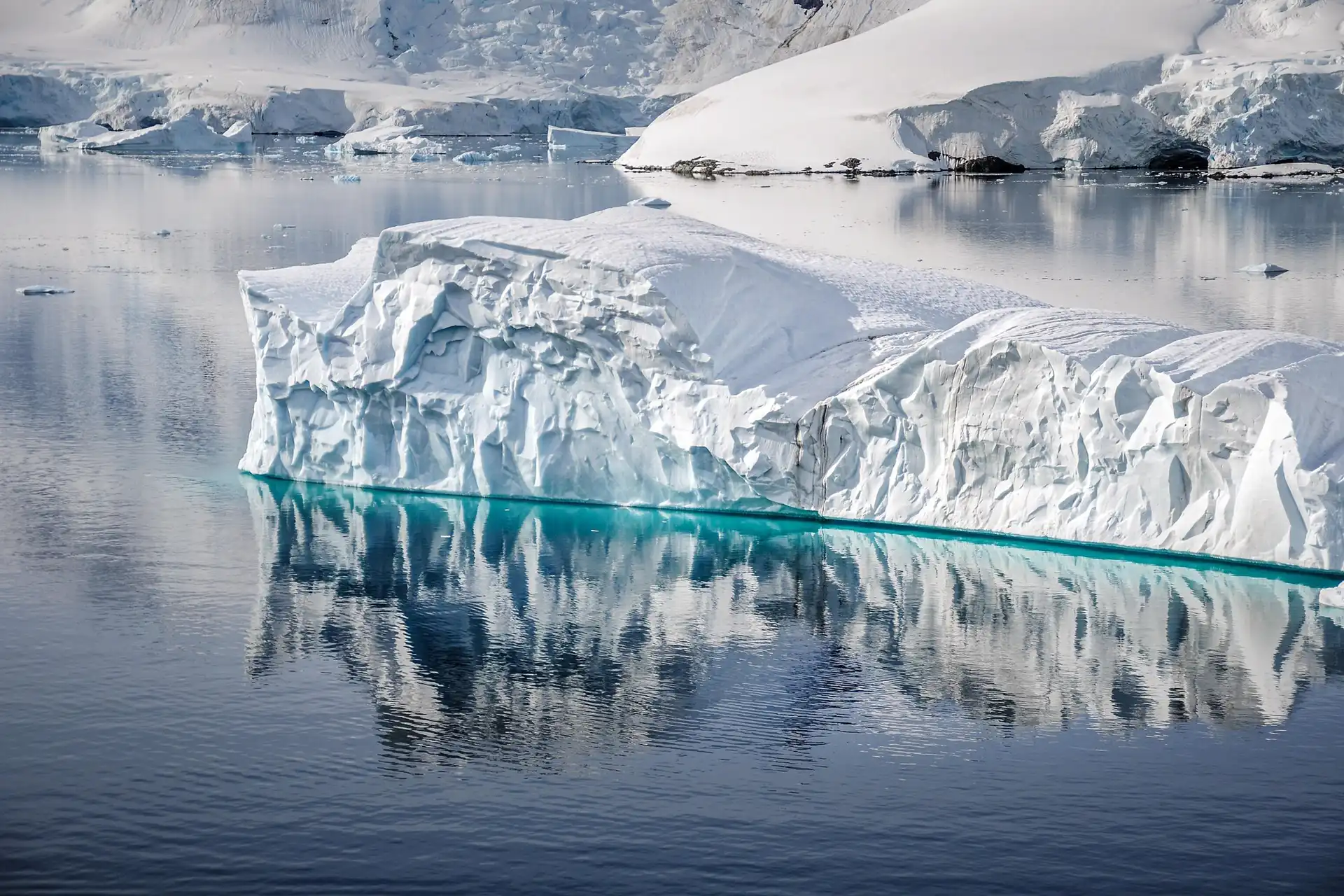 The Beauty of Snow: A Gallery of Winter’s Magic