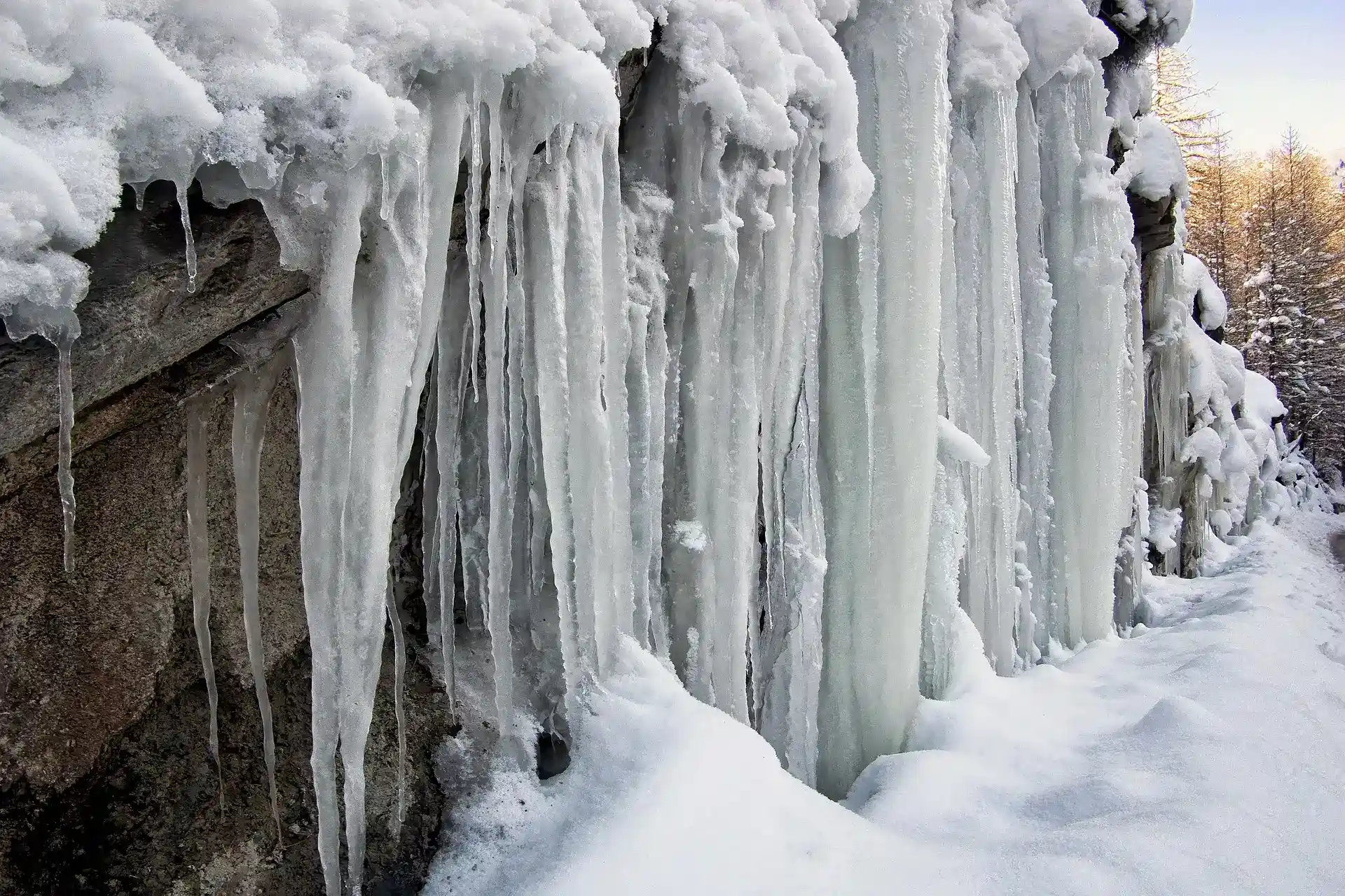 The Beauty of Snow: A Gallery of Winter’s Magic