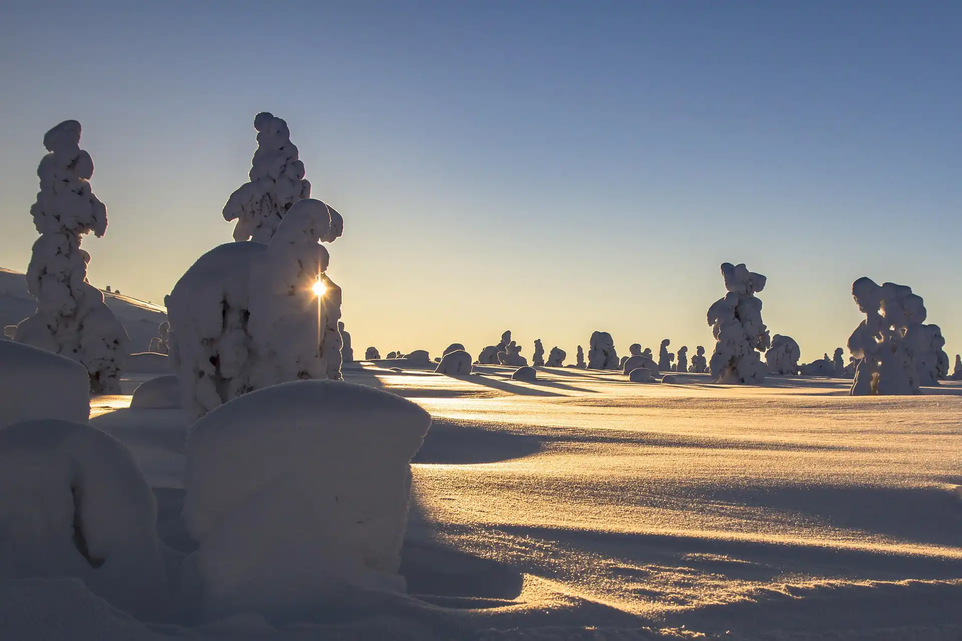 The Beauty of Snow: A Gallery of Winter’s Magic