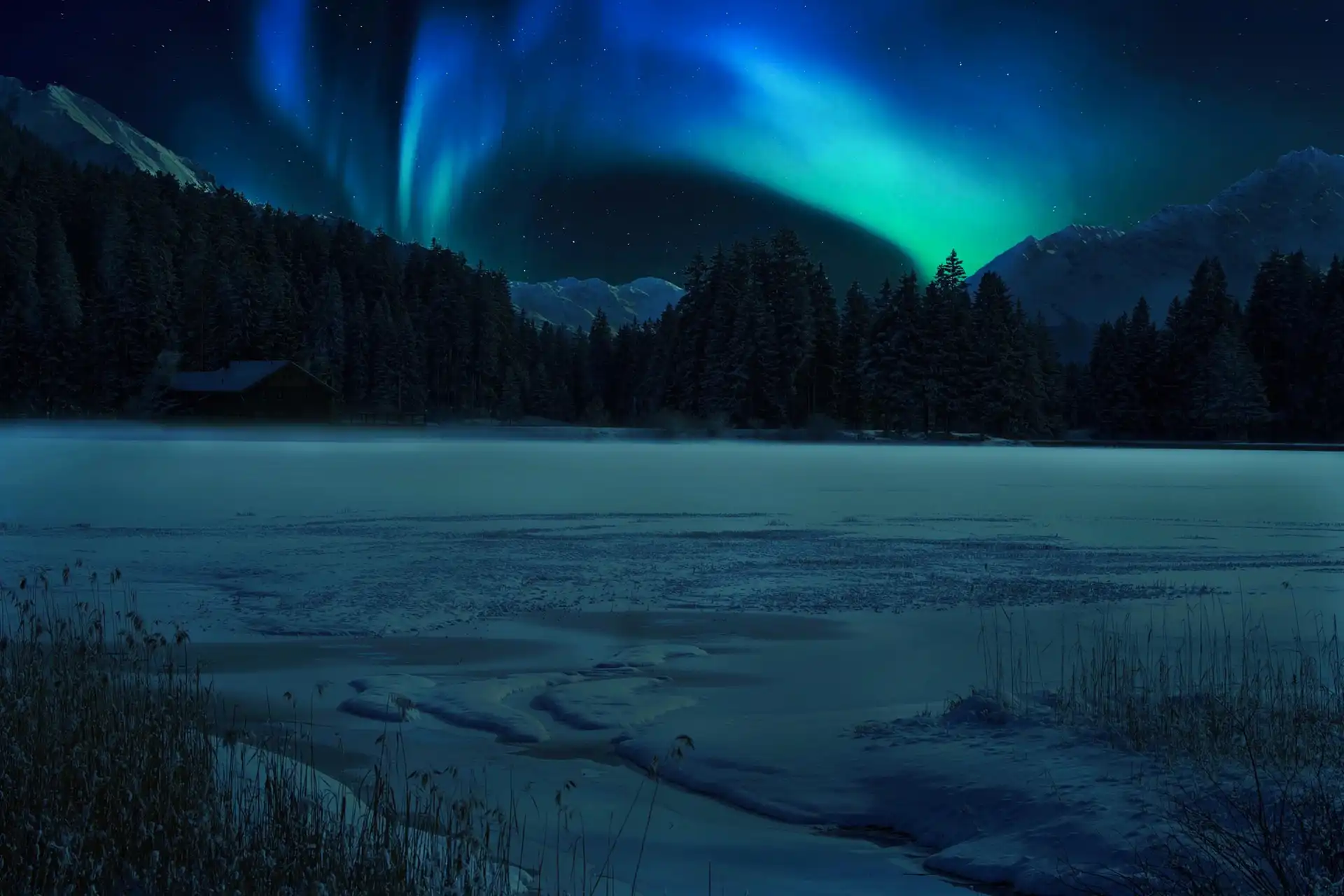 The Beauty of Snow: A Gallery of Winter’s Magic