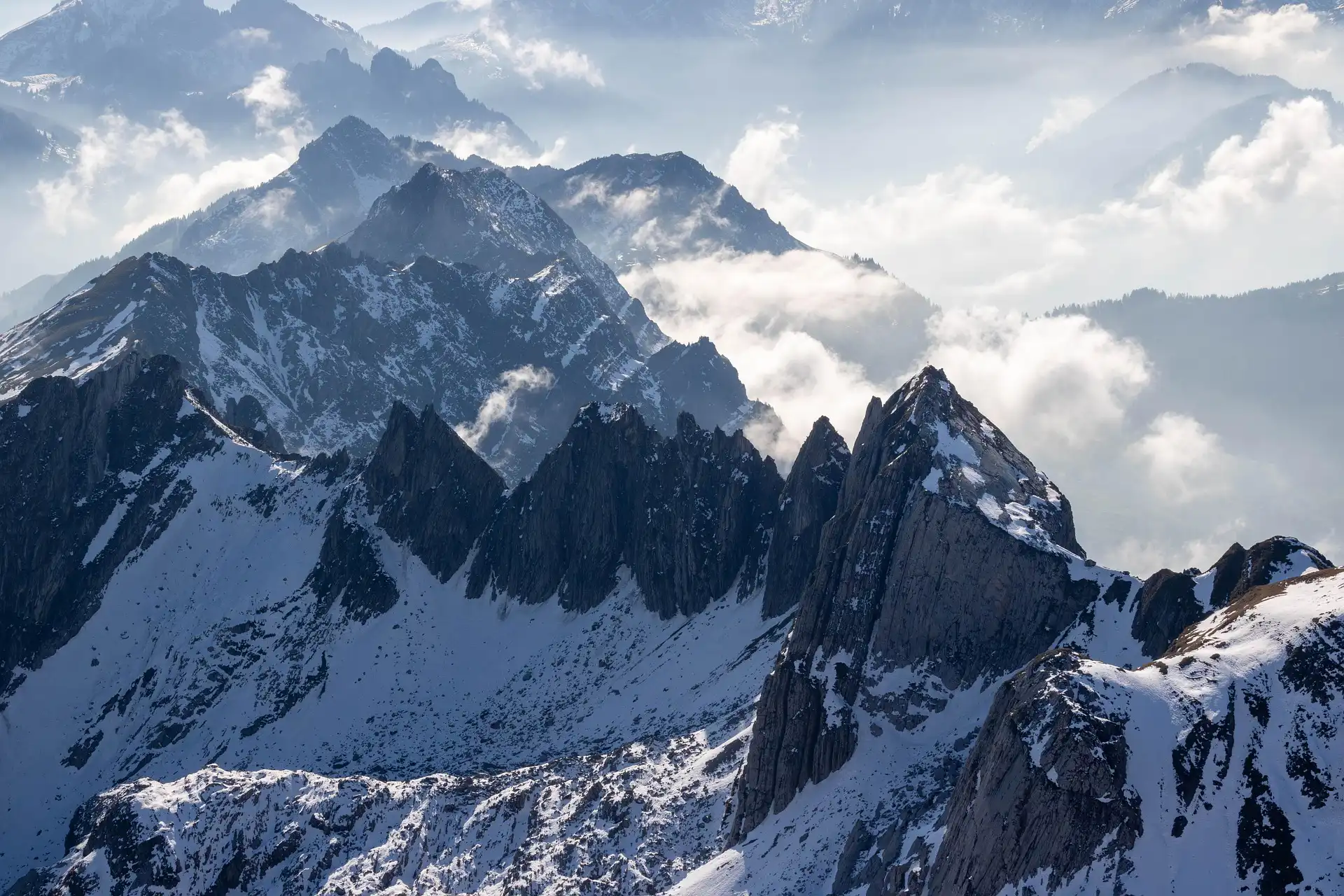 The Beauty of Snow: A Gallery of Winter’s Magic