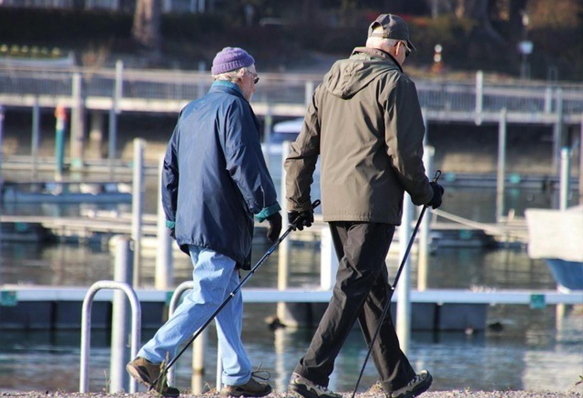 ASSESSMENT FOR SENIOR MIGRANTS