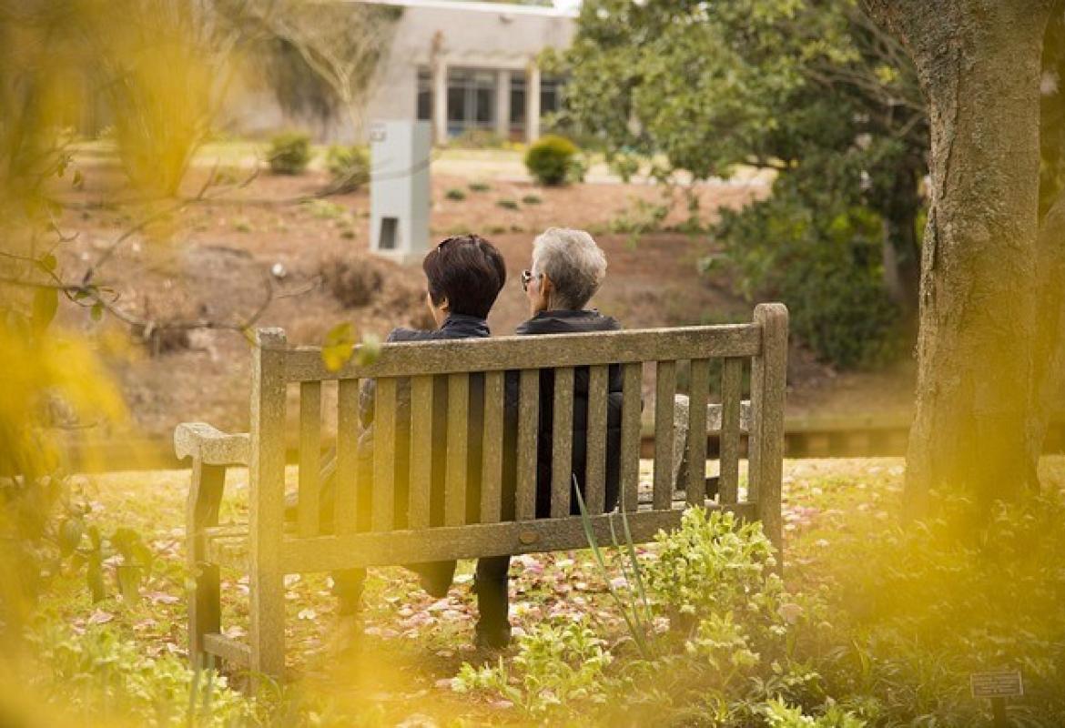 Elder Care Landscape: Strengths, Best Practices, and Reform Imperatives