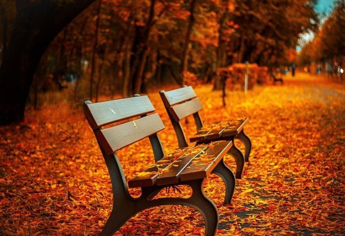 sometimes the greatest luxury is knowing what you have is already enough