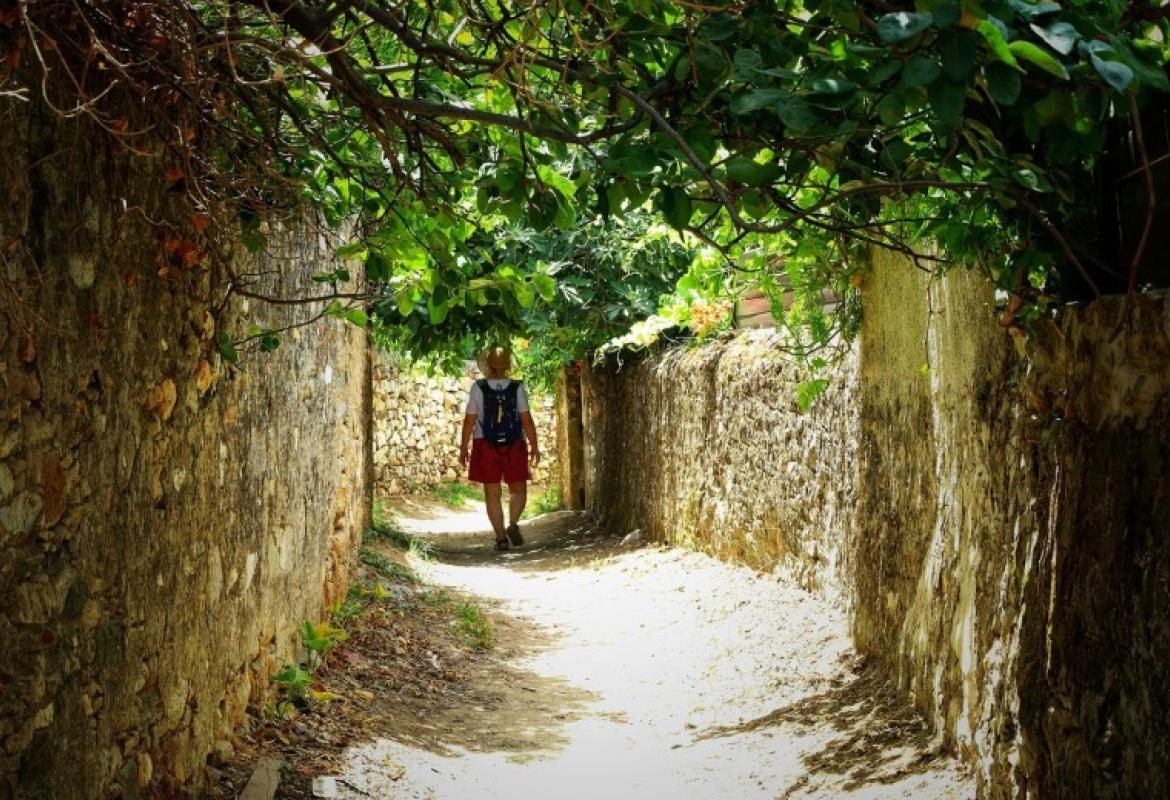 Small Adventures for the Homebound Dreamer