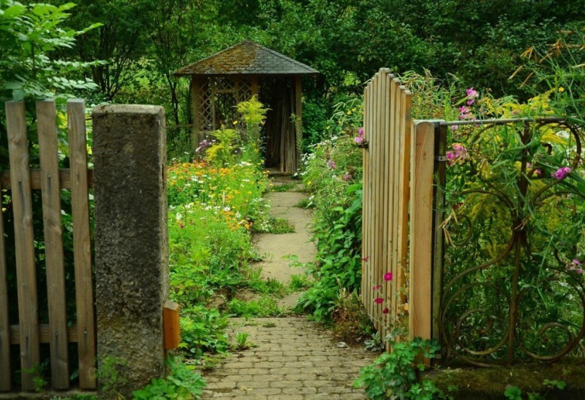 The Gardener's Mindset: Lessons from the Soil