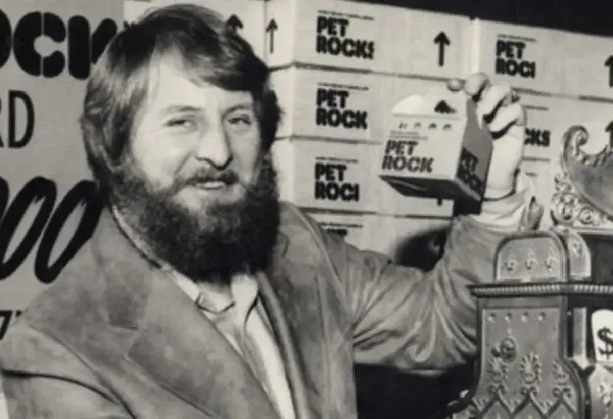 A Pet Rock packaged like a living pet