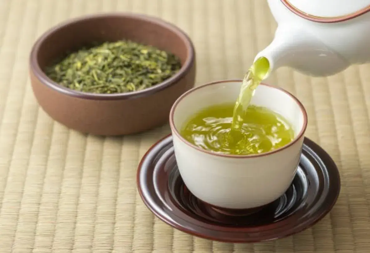 Green tea rich in antioxidants for liver health
