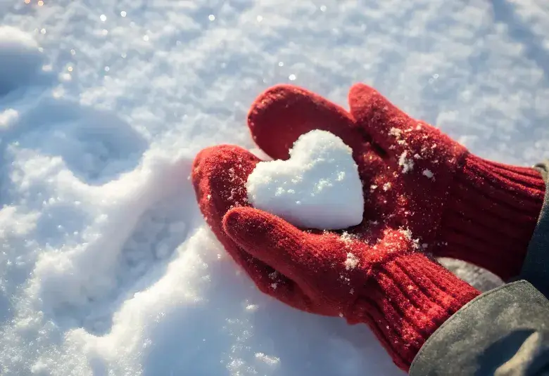 The Beauty of Snow: A Gallery of Winter’s Magic