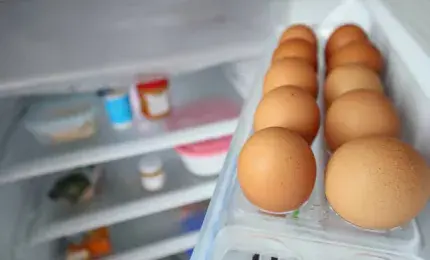 Fresh eggs stored in a refrigerator in the United States.