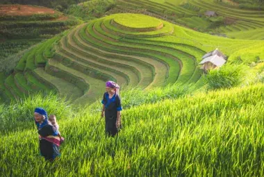 Vietnam Rice Terraces and Senior Lifestyle