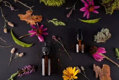 Botanical Extracts That Firm and Repair Aging Skin