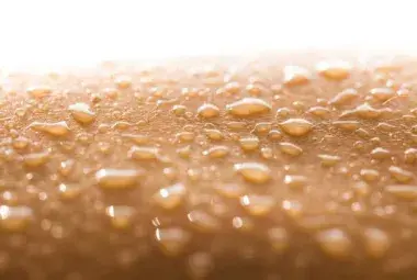 Close-up of healthy hydrated skin symbolizing moisture barrier repair