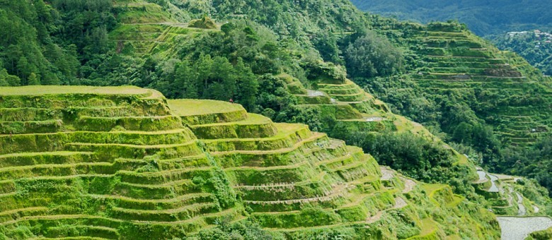 Banaue and Batad Rice Terraces (Ifugao)