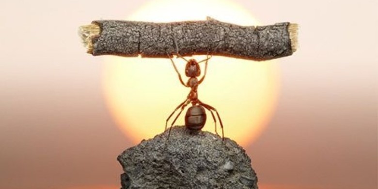 What’s your biggest strength?