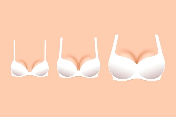 🧁 Cup Sizes Didn’t Exist Until the 1930s