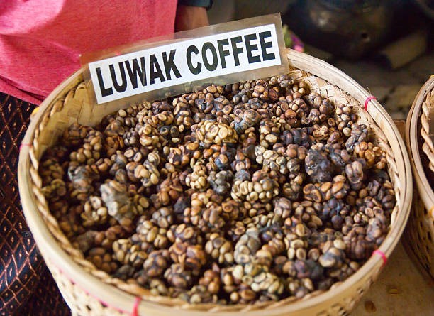 The World's Most Expensive Coffee Comes from Animal Poop