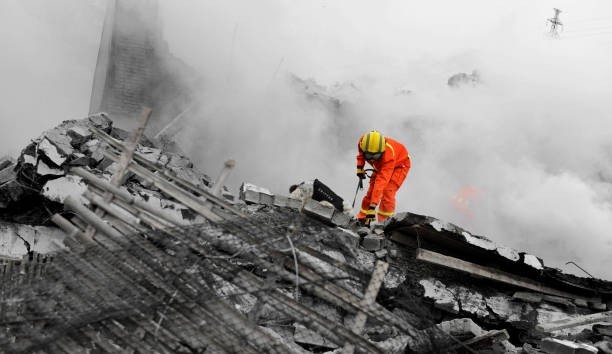 šØ Dogs Can Sense Natural Disasters