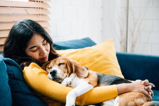 ā¤ļø Your Dog Can Actually Love You Back