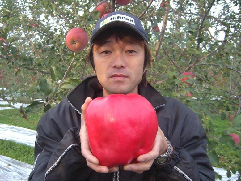 The world’s heaviest apple weighed over 4 pounds!