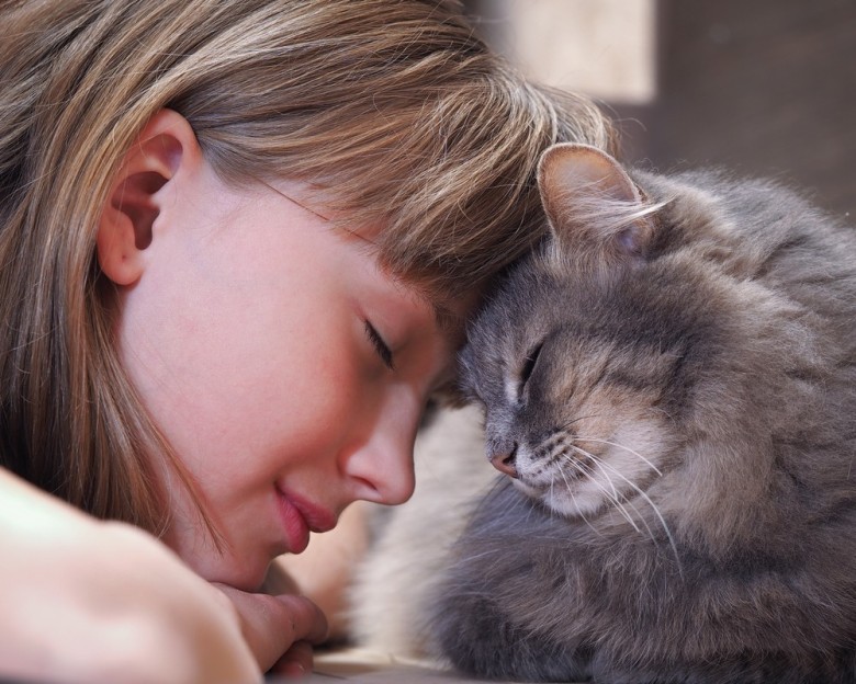 Cats always seem to know when you’re upset