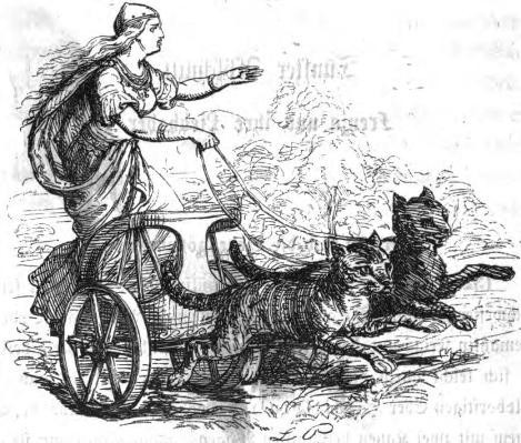 In Norse mythology, a goddess rode a chariot pulled by cats