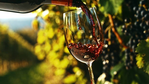 What does âtanninâ refer to in wine?