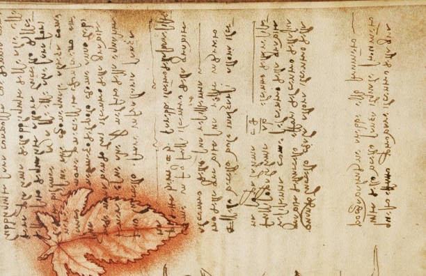 The Voynich Manuscript