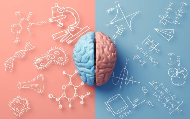 Green Tea Boosts Brain Power