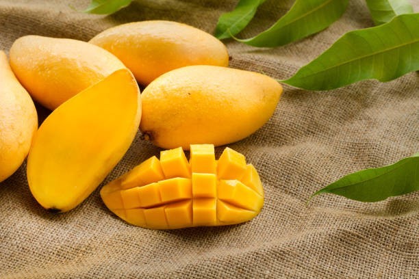 🥠Mango