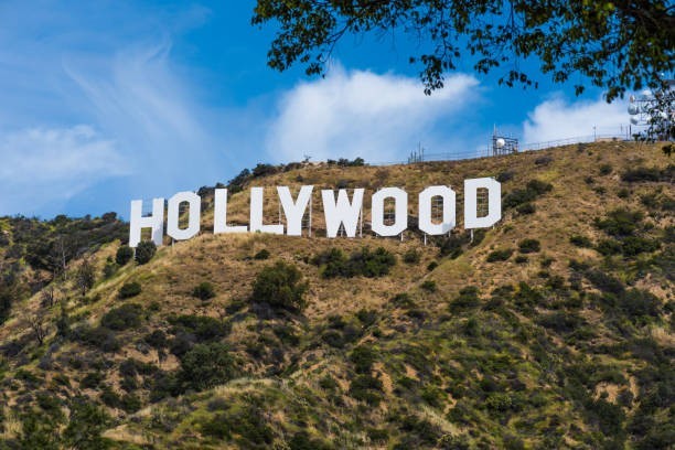 š¬ Hollywood Loved Them First