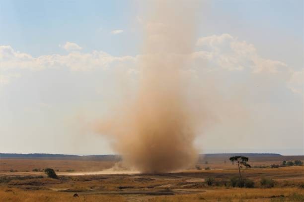 The Smallest Ones Are Called “Dust Devils”