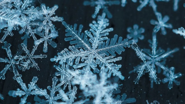 What is the record for the largest single snowflake ever reported?