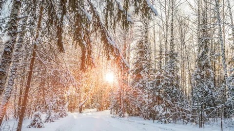 What is it called when snow falls while the sun is shining?