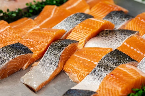 Salmon 🐟