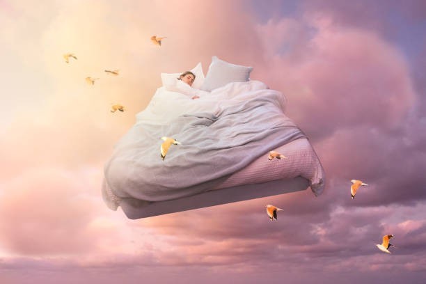 Chickens dream when they sleep.