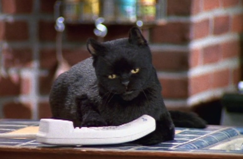 Salem from Sabrina the Teenage Witch had many faces.