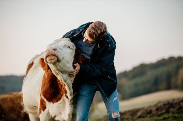 Gentle giants