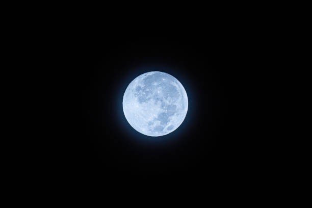 The moon’s glow makes animals howl