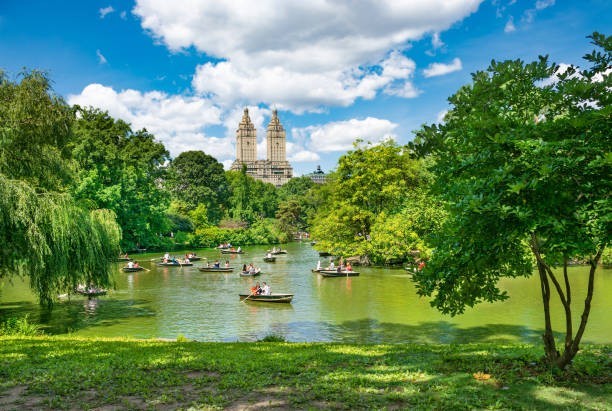 Visit Central Park