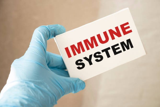 Myth 4: Too many vaccines overload the immune system