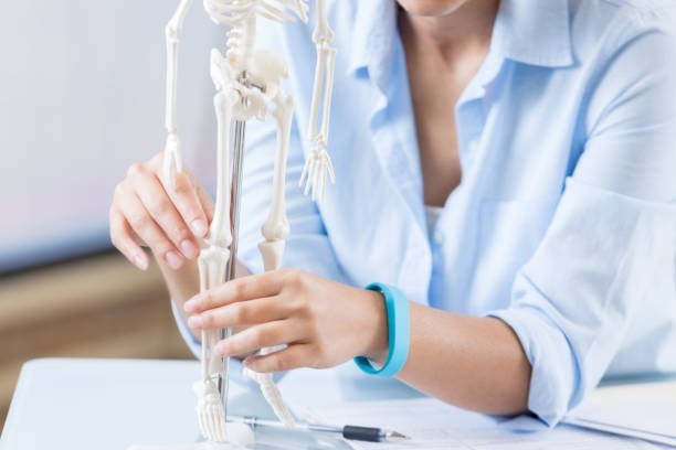 Support bone health