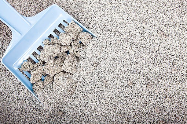 Clumping litter changed everything