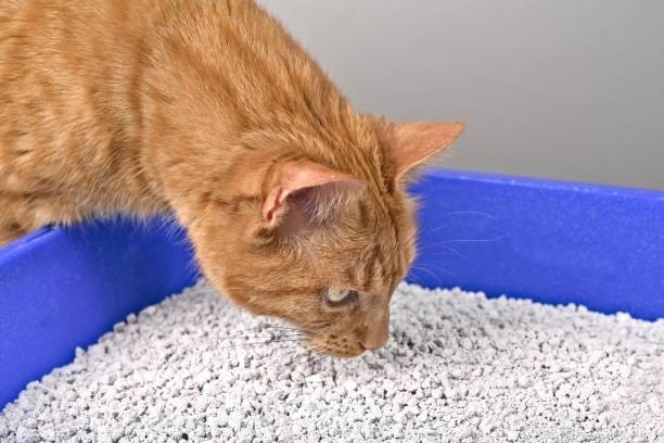It can control odors with science