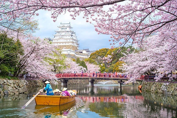 What is the currency of Japan?