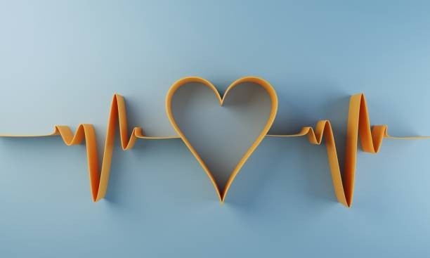 Supports Heart Health