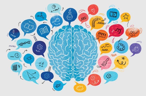 Boosts Brain Function